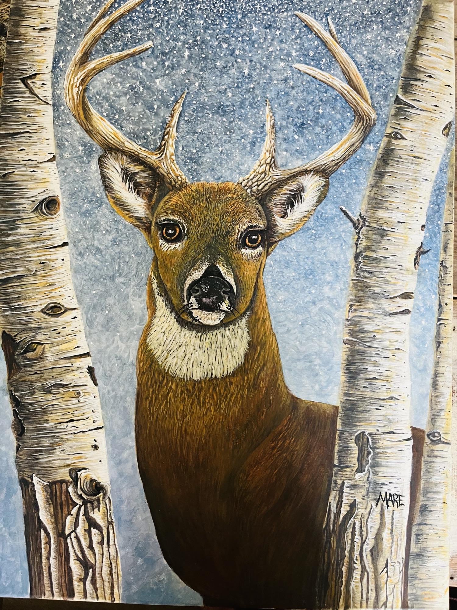 Marilyn Broesky – 5
