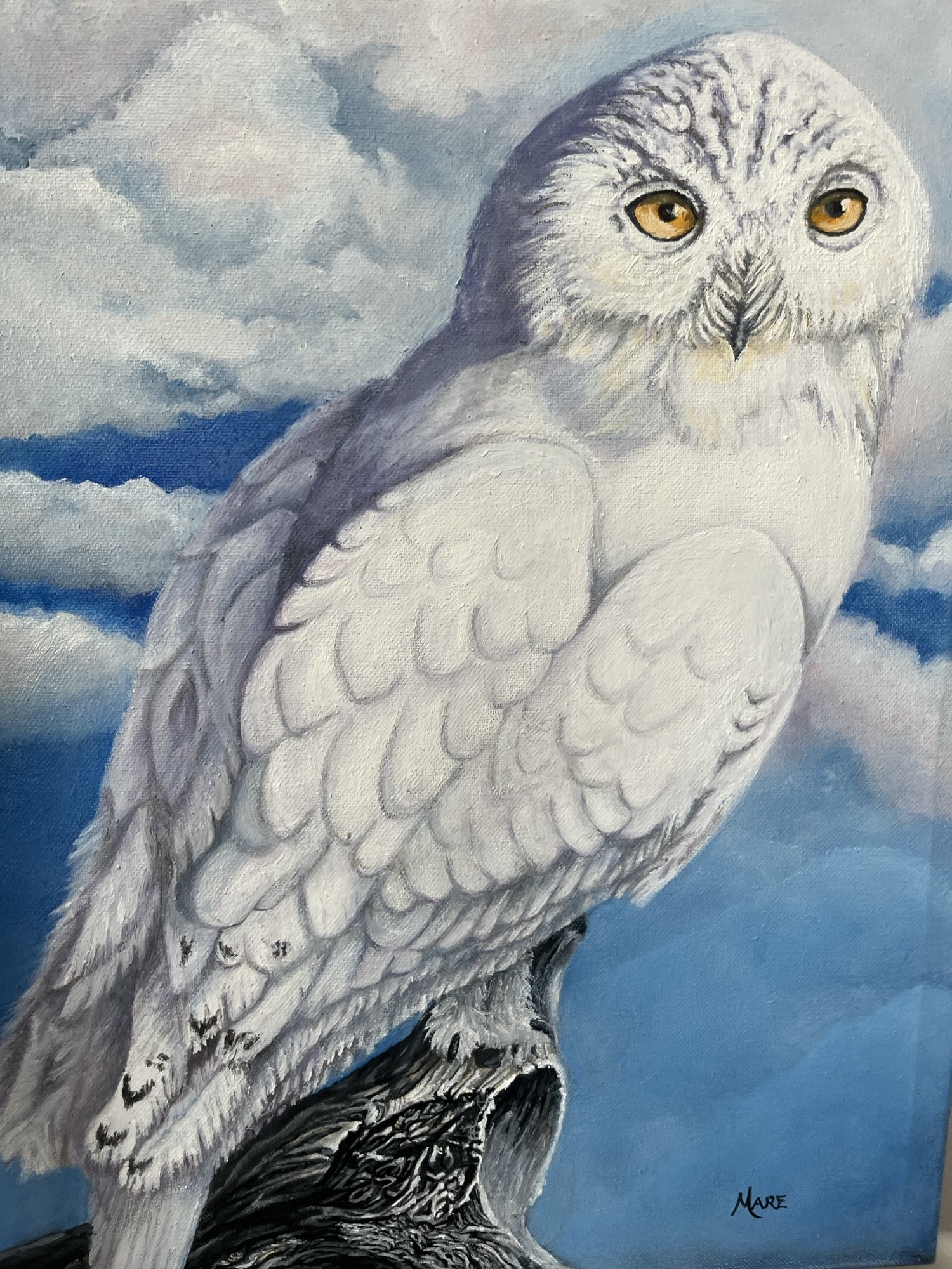 Marilyn Broesky – 6