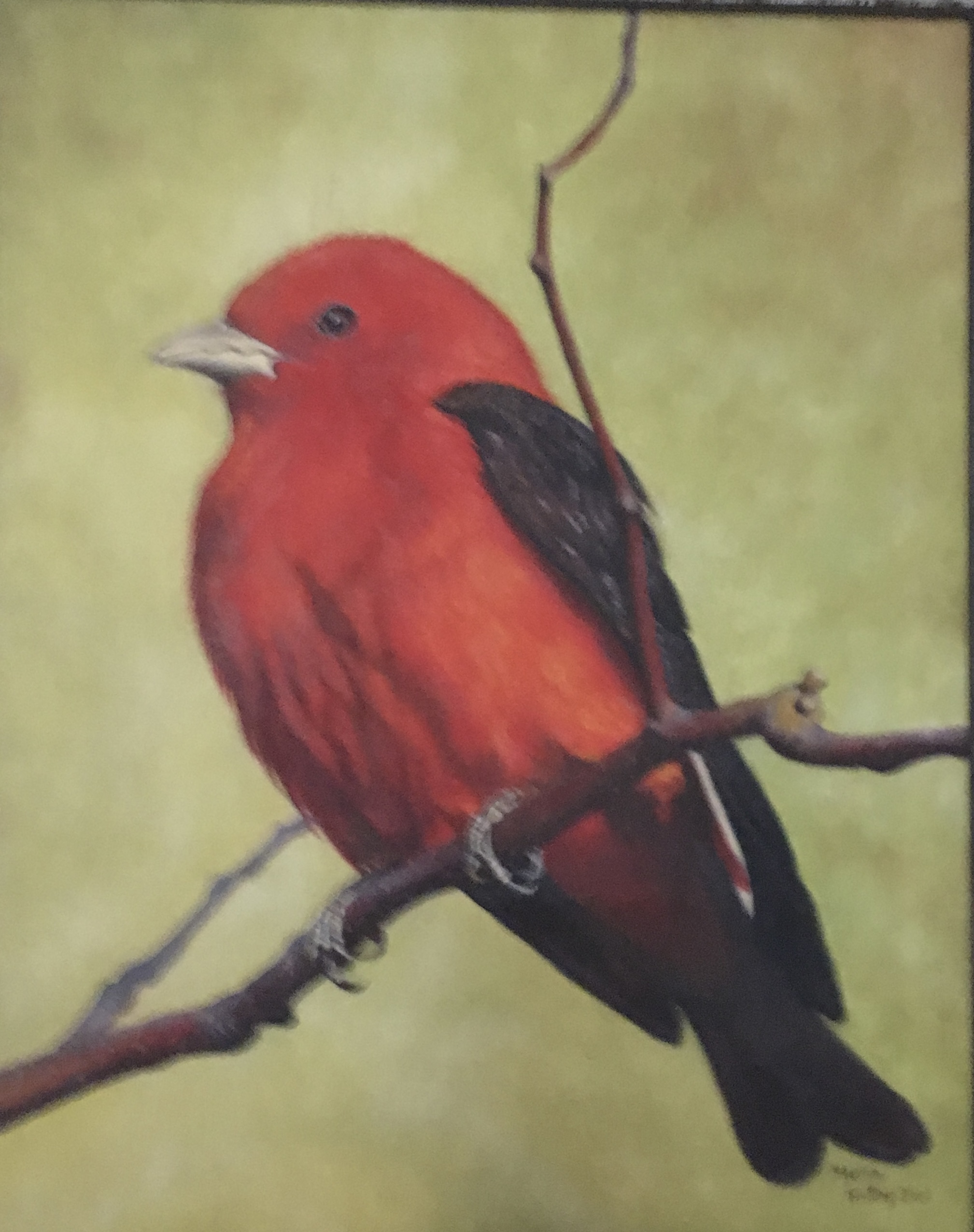 Marilyn Broesky – 9
